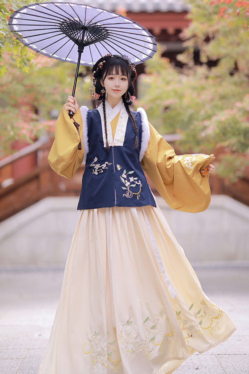 Chinese Ancient Style Collocation Waistcoat Sweet Hanfu Dress