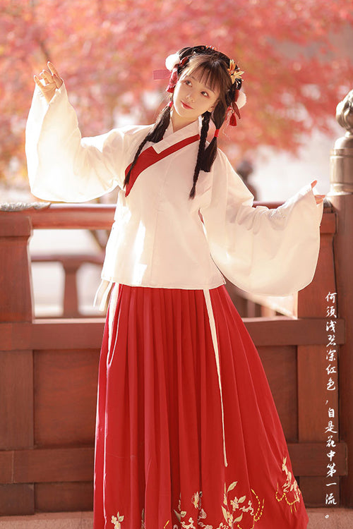 Chinese Ancient Style Collocation Waistcoat Sweet Hanfu Dress