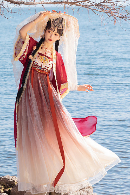 中国の唐時代のデザインスタイルの刺繍シフォン半袖甘い漢服ドレス
