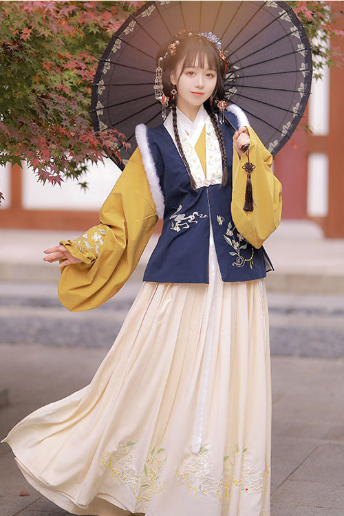 Chinese Ancient Style Collocation Waistcoat Sweet Hanfu Dress