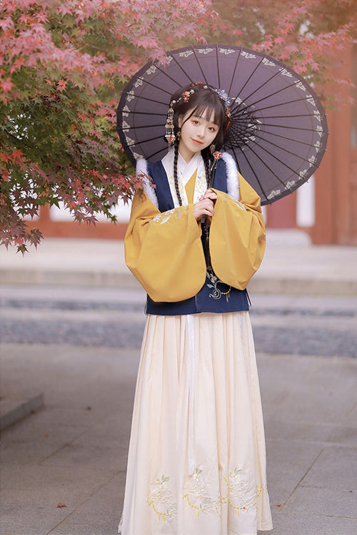 Chinese Ancient Style Collocation Waistcoat Sweet Hanfu Dress